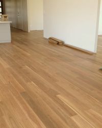Spotted Gum 136x14mm - Kingsley