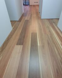 Spotted Gum 136x14mm - Claremont