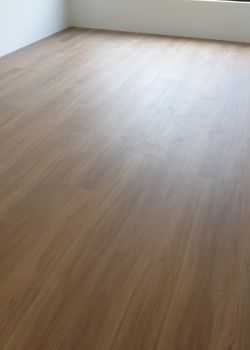 904 - Blackbutt - Dalkeith