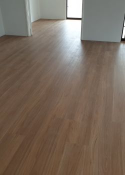 904 - Blackbutt - Dalkeith