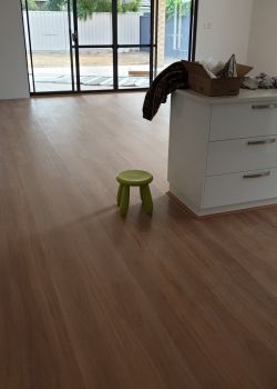 904 - Blackbutt - Dalkeith