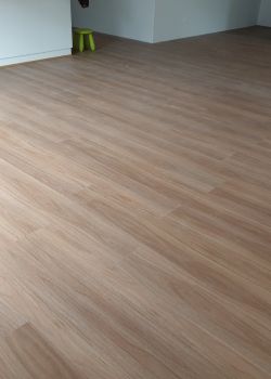 904 - Blackbutt - Dalkeith