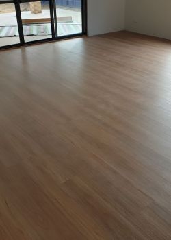 904 - Blackbutt - Dalkeith