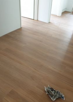 904 - Blackbutt - Dalkeith