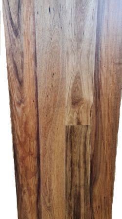 Tasmanian Blackwood