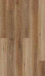 601 - Spotted Gum